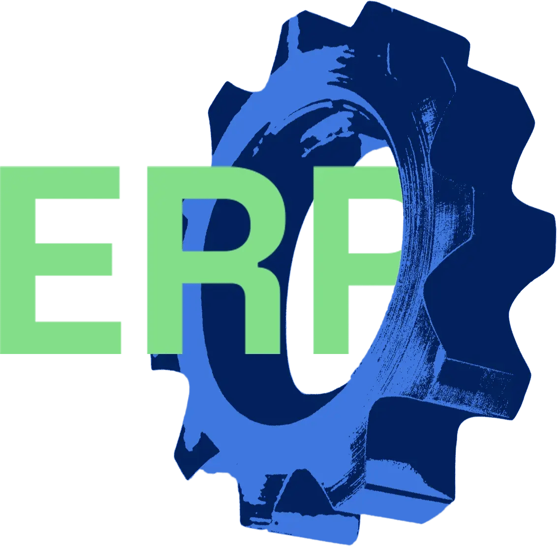 ERP-embedded Payments
