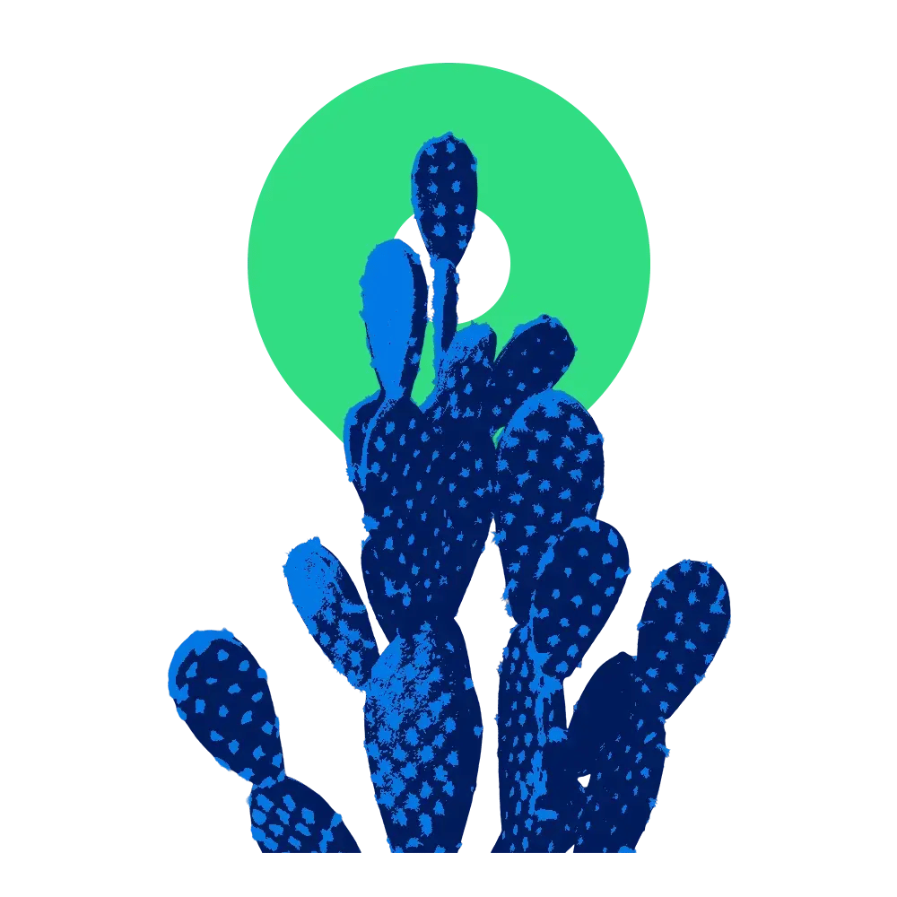 Hermosillo Cactus copy