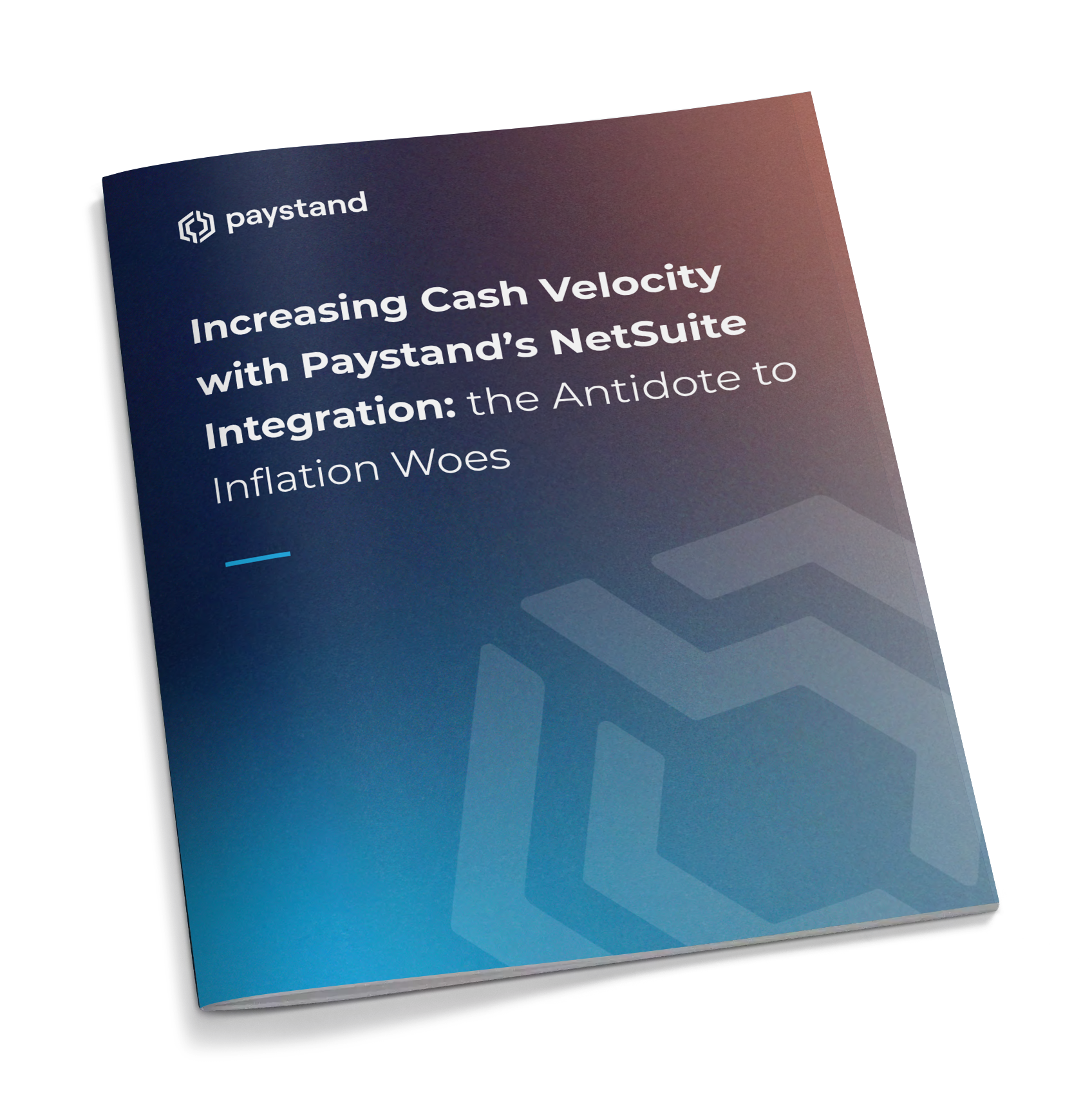 NetSuite Horizontal Ebook