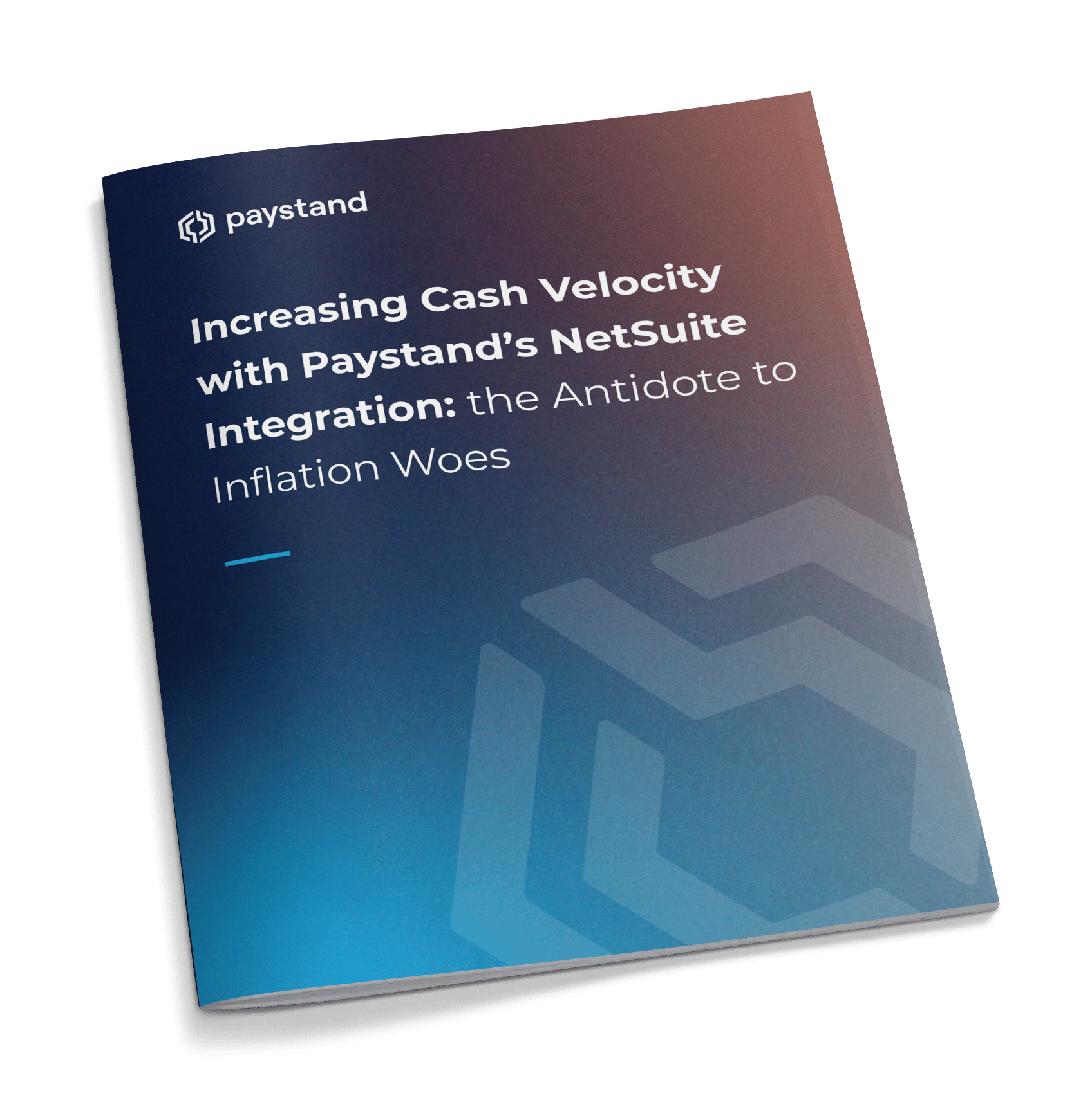 NetSuite Horizontal Ebook