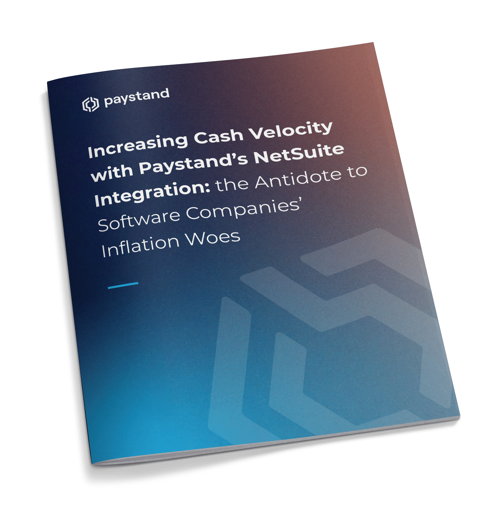 NetSuite Software Vertical Ebook