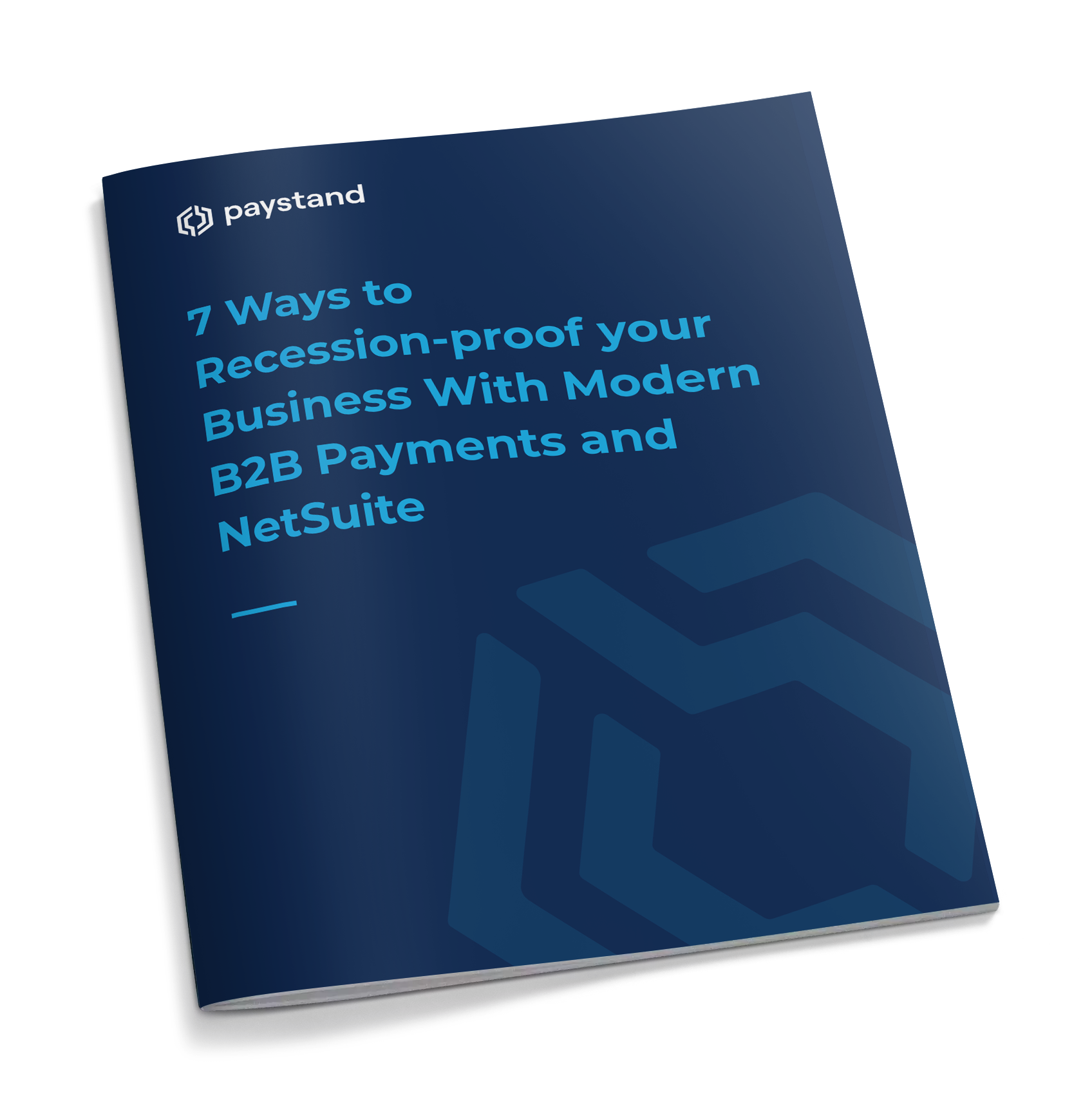 Netsuite Recession