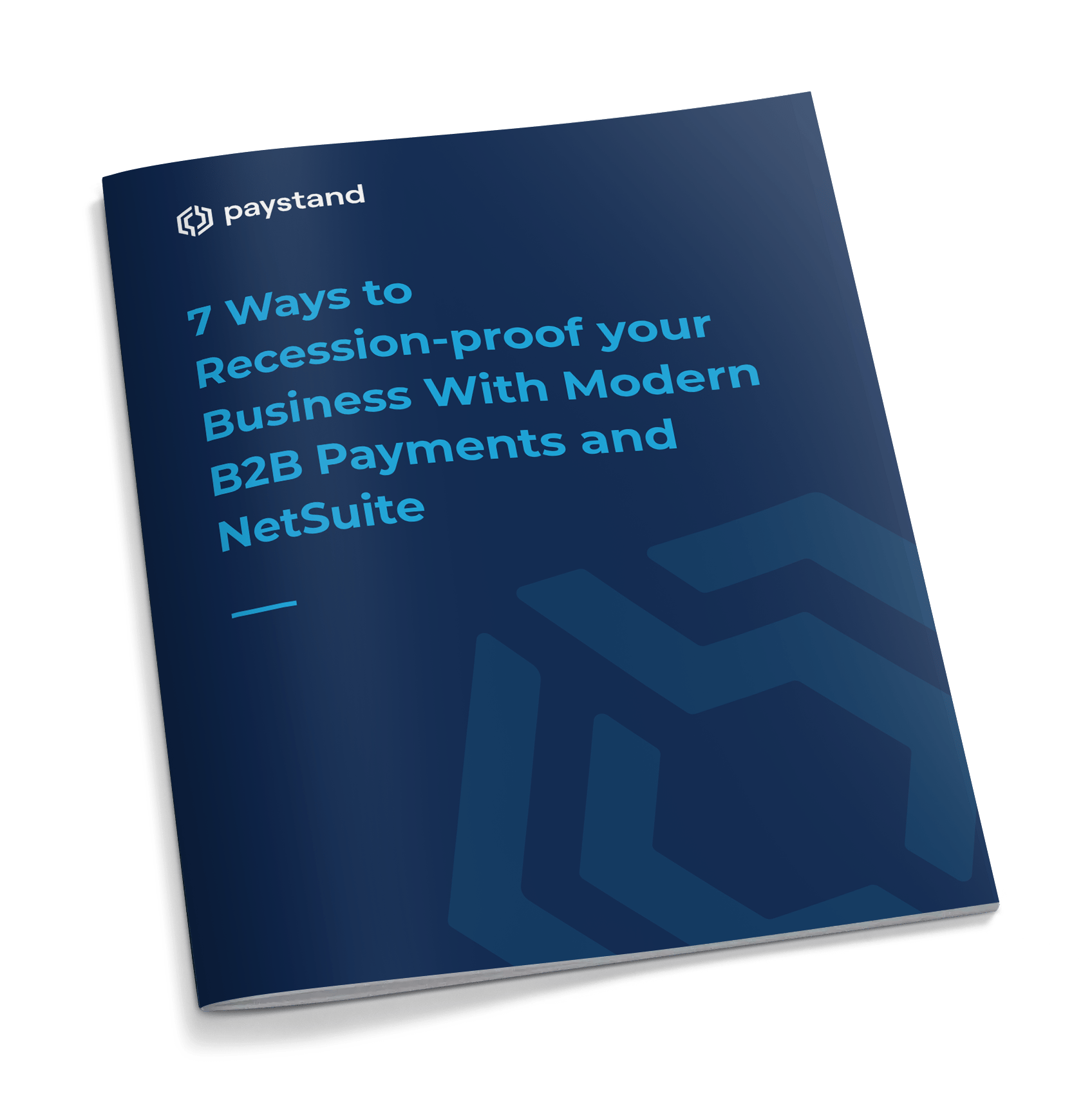 Netsuite Recession