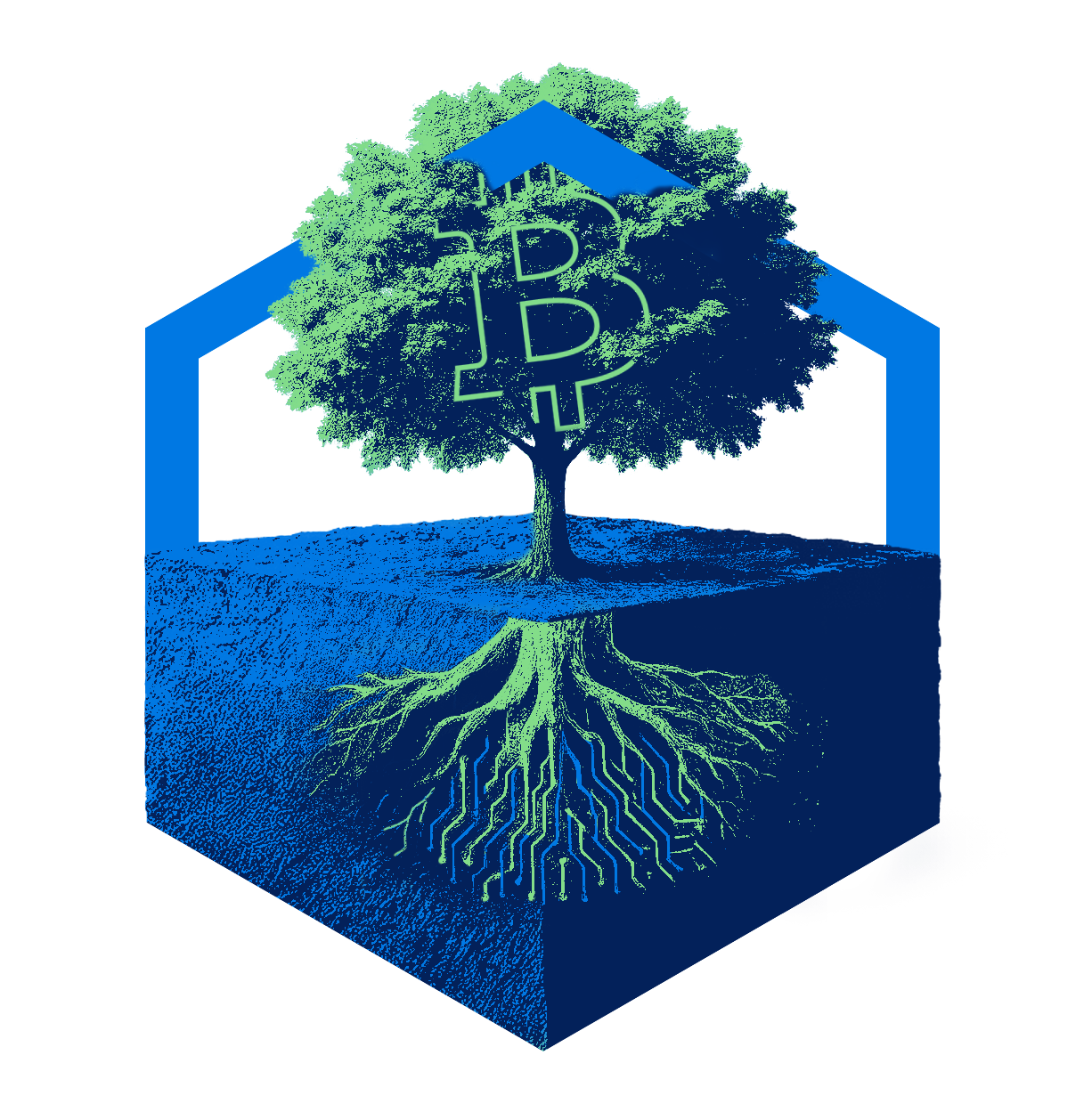 bitcoin-tree-ilustration