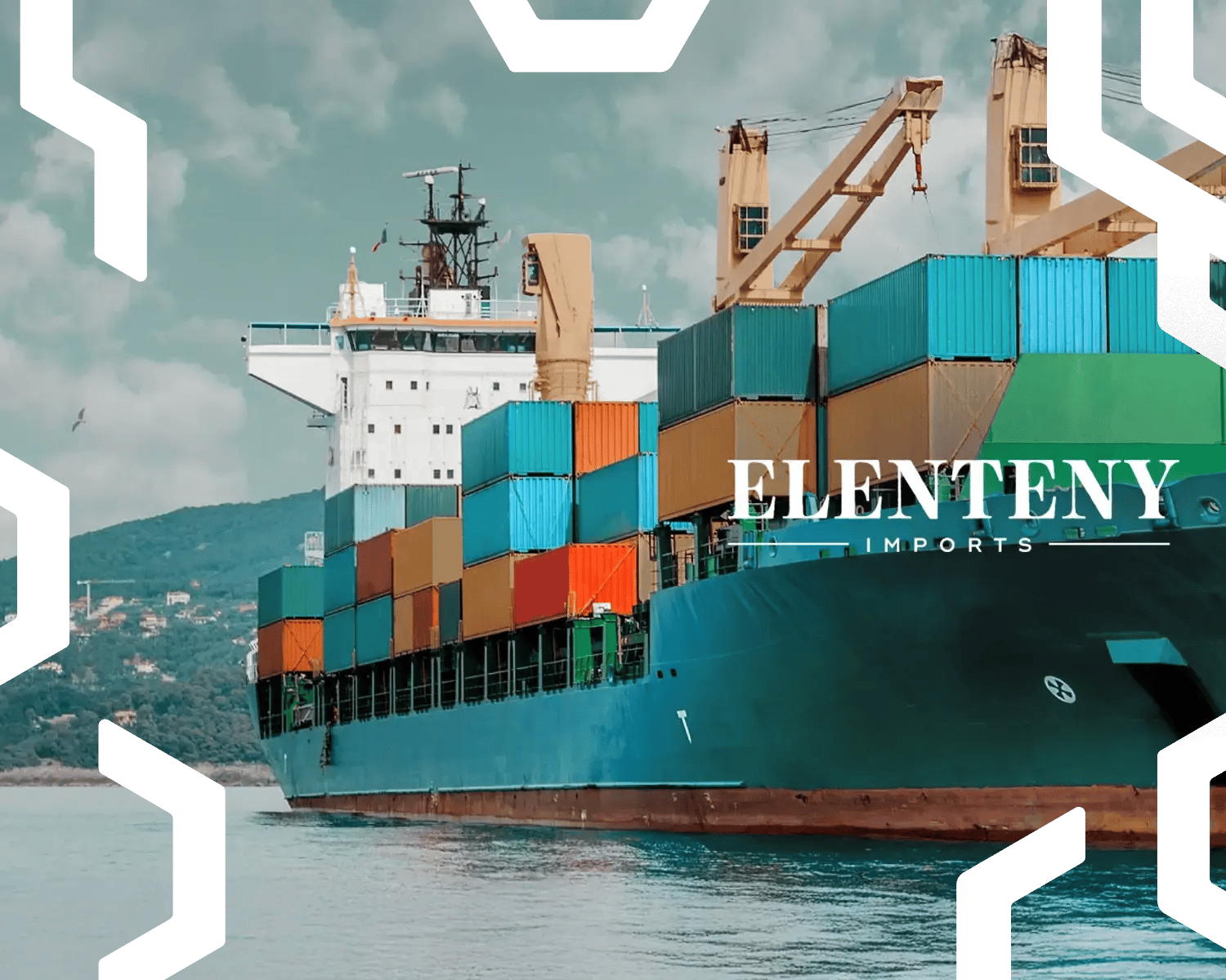 Elenteny Imports - Client Case Study