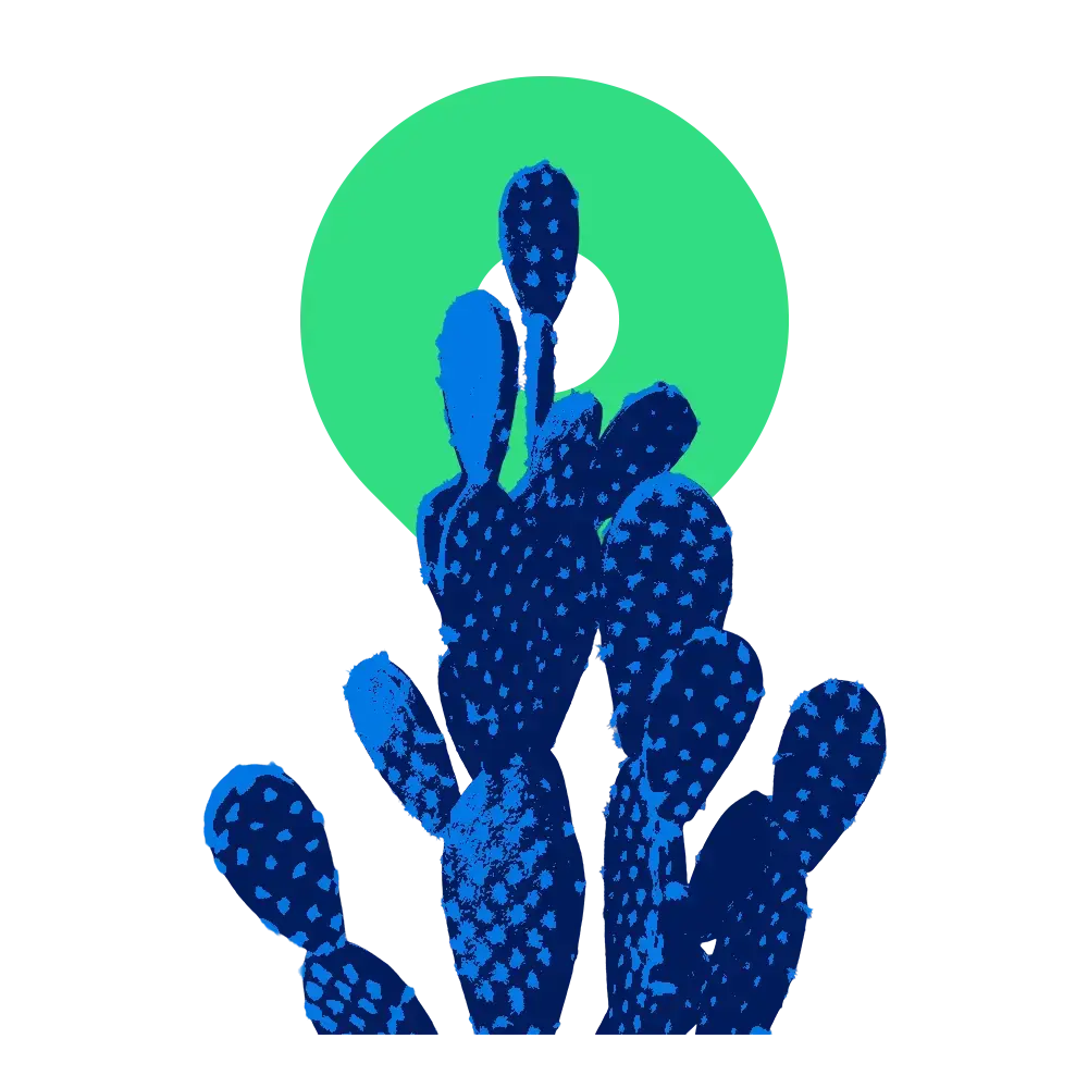 Hermosillo Cactus copy