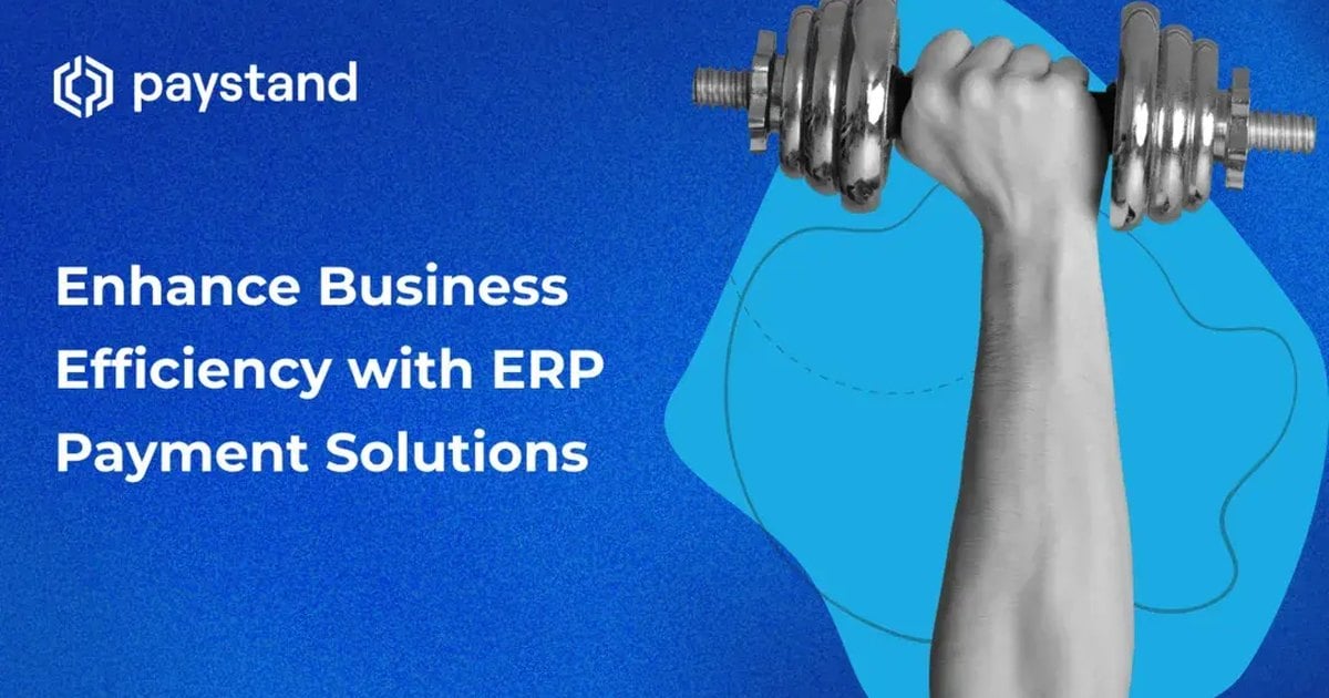 Enhance Business Efficiency with ERP Payment Solutions