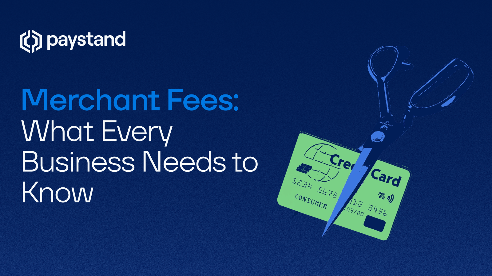 Merchant Fees: What Every Business Needs to Know
